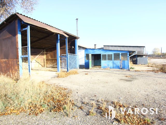 Gondolkozz nagyban