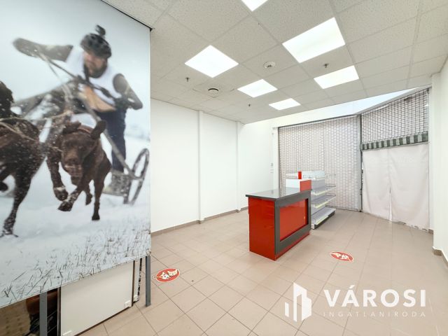 36 m² + 22 m² galériás üzlethelyiség kiadó a Pólusban