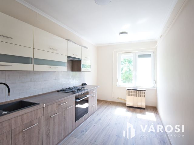 A makói közpot csak egy kőhajításnyira