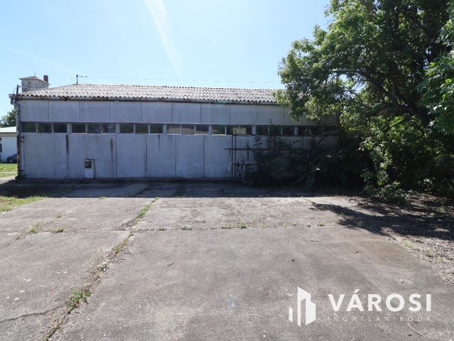 Kiadó csarnok Hódmezővásárhelyen