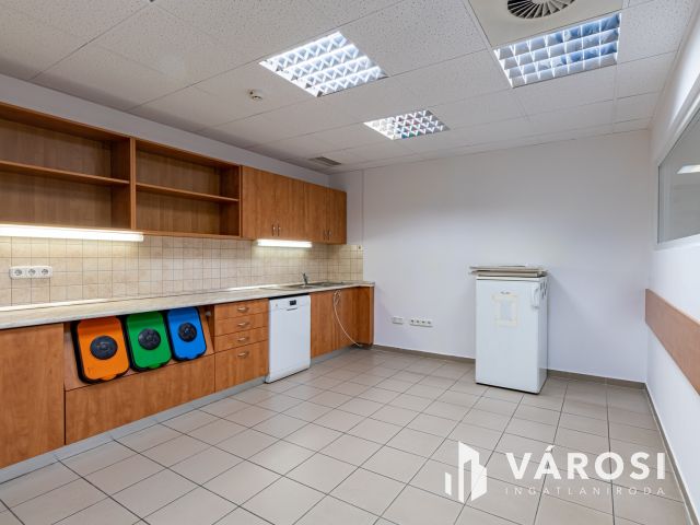 Kiadó utcai bejáratos iroda a Fűvészkertnél