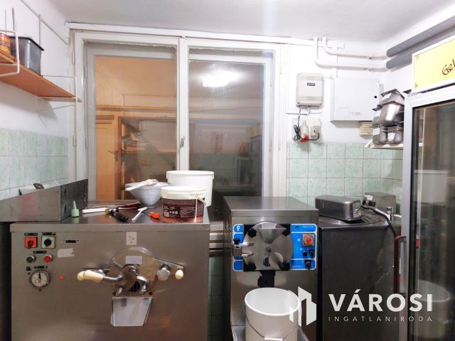 Ikonikus Belvárosi Lakó- és Üzleti Ingatlan Békéscsabán