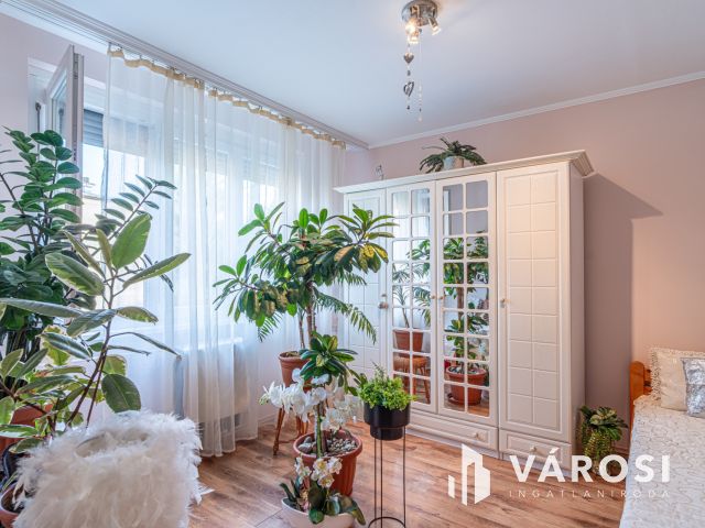 Kultúrált lakás a Vedres utcában